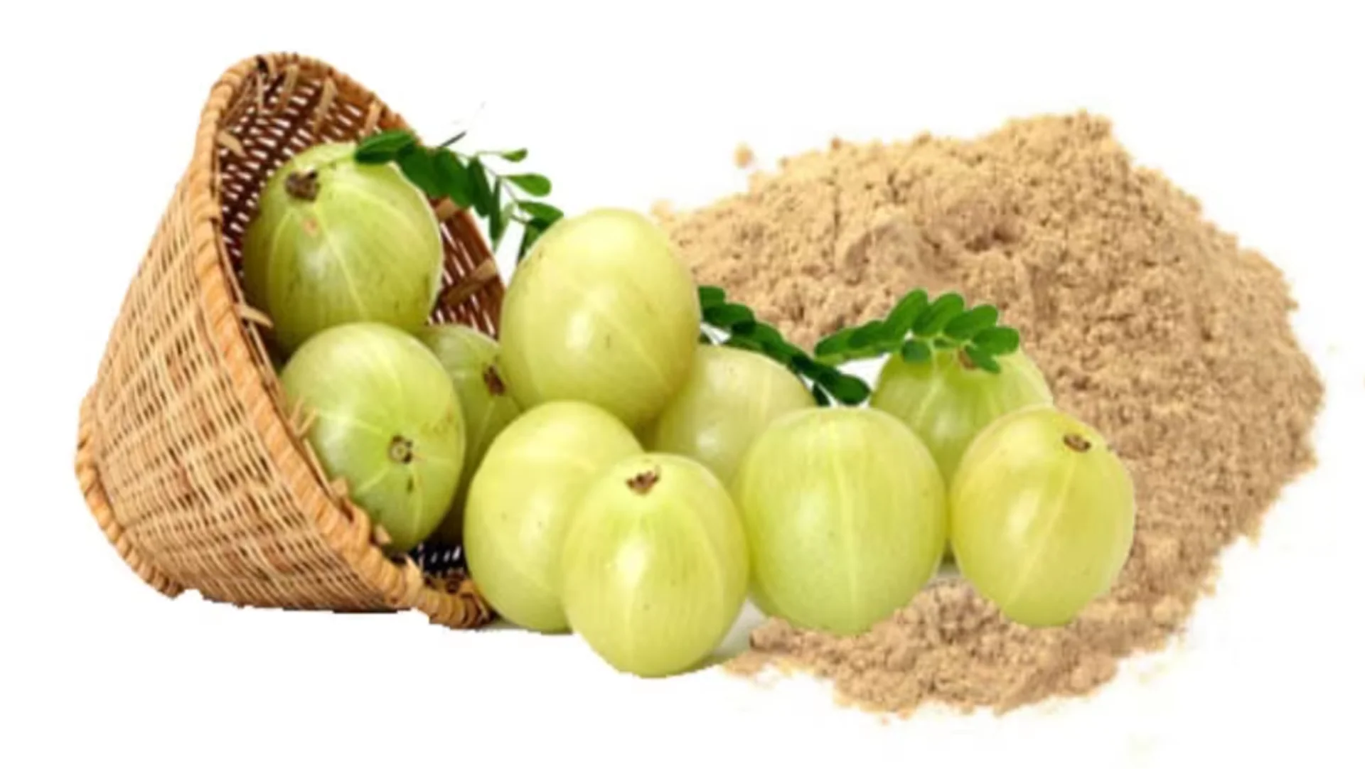 Amla Indian Gooseberry Powder for Hair Growth (200 Grams), Black Colour, Drinking and Eating - Image 2