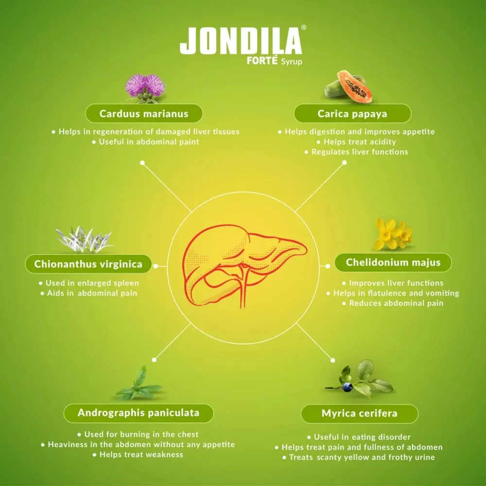 Medisynth Jondila SF Syrup (200ml) - Image 4