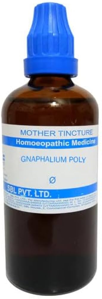 SBL Gnaphylium Polycephallum Q - 100ml