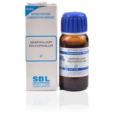 SBL Gnaphylium Polycephallum Q - 30ml